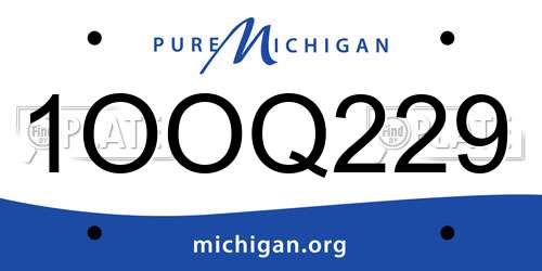 1OOQ229 Michigan License Plate