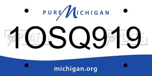 1OSQ919 Michigan License Plate