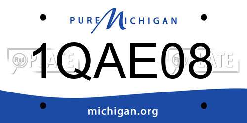 1QAE08 Michigan License Plate