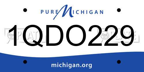 1QDO229 Michigan License Plate
