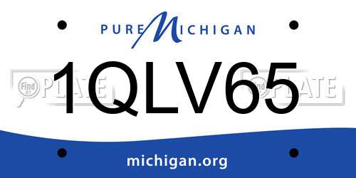 1QLV65 Michigan License Plate