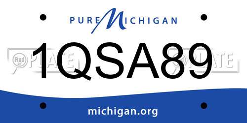 1QSA89 Michigan License Plate