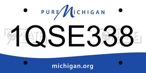 1QSE338 Michigan License Plate