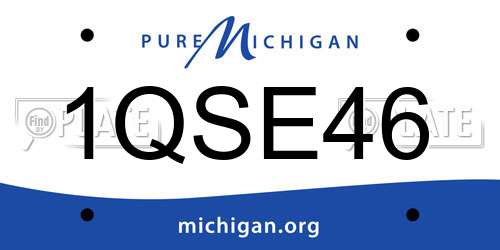 1QSE46 Michigan License Plate