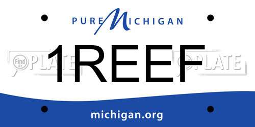 1REEF Michigan License Plate