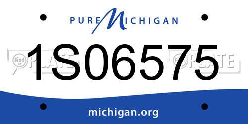 1S06575 Michigan License Plate