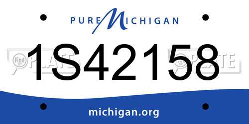 1S42158 Michigan License Plate