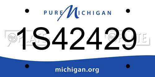 1S42429 Michigan License Plate