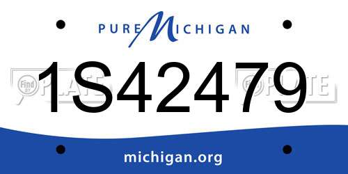 1S42479 Michigan License Plate