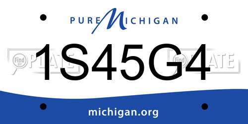 1S45G4 Michigan License Plate