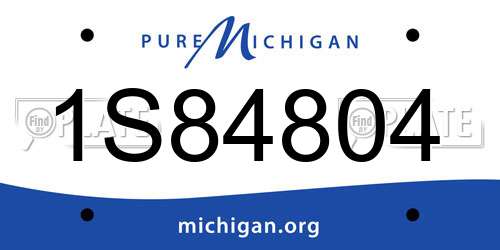 1S84804 Michigan License Plate