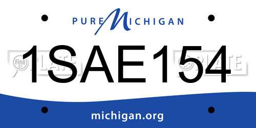1SAE154 Michigan License Plate