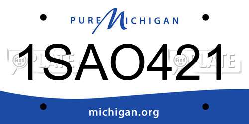 1SAO421 Michigan License Plate