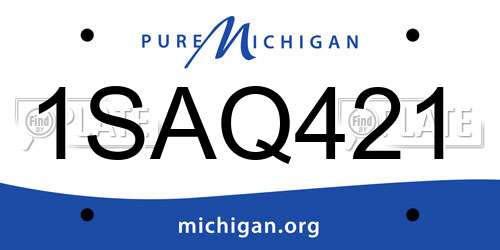 1SAQ421 Michigan License Plate