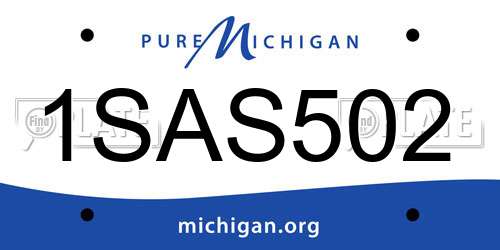 1SAS502 Michigan License Plate
