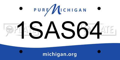 1SAS64 Michigan License Plate