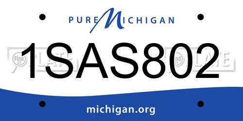 1SAS802 Michigan License Plate