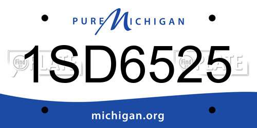 1SD6525 Michigan License Plate