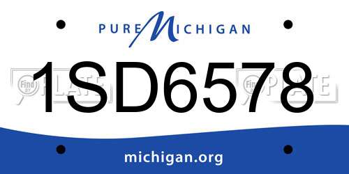1SD6578 Michigan License Plate