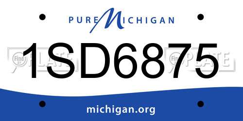 1SD6875 Michigan License Plate