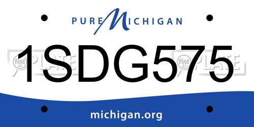 1SDG575 Michigan License Plate