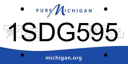 1SDG595 Michigan License Plate