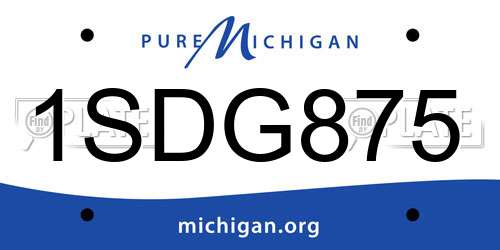 1SDG875 Michigan License Plate