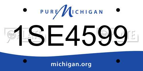 1SE4599 Michigan License Plate