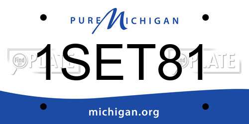 1SET81 Michigan License Plate