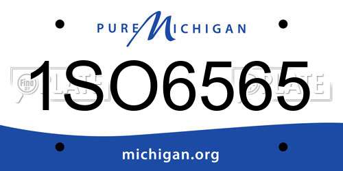 1SO6565 Michigan License Plate