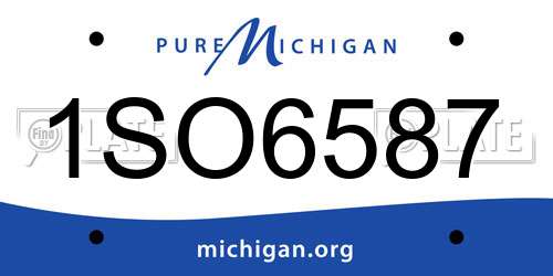 1SO6587 Michigan License Plate