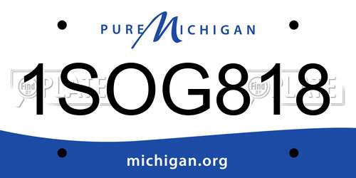 1SOG818 Michigan License Plate