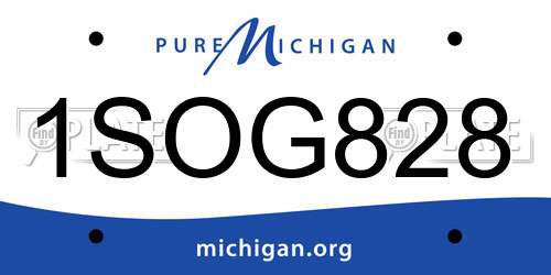 1SOG828 Michigan License Plate