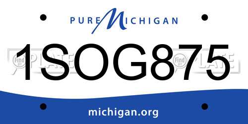 1SOG875 Michigan License Plate