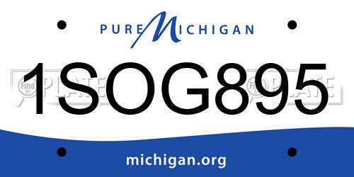 1SOG895 Michigan License Plate