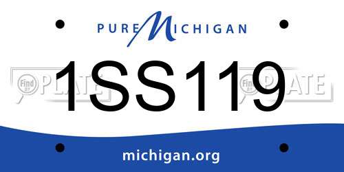 1SS119 Michigan License Plate