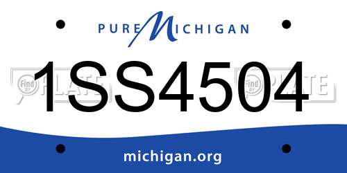 1SS4504 Michigan License Plate