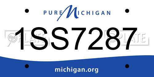 1SS7287 Michigan License Plate