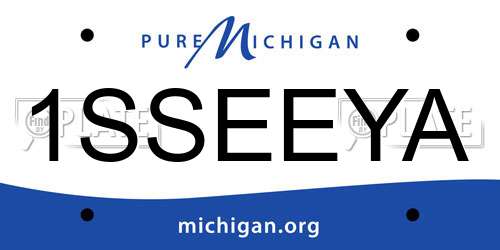1SSEEYA Michigan License Plate