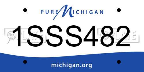 1SSS482 Michigan License Plate