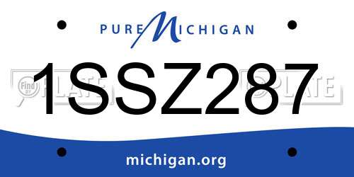 1SSZ287 Michigan License Plate