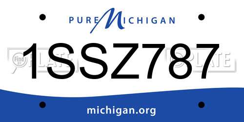 1SSZ787 Michigan License Plate