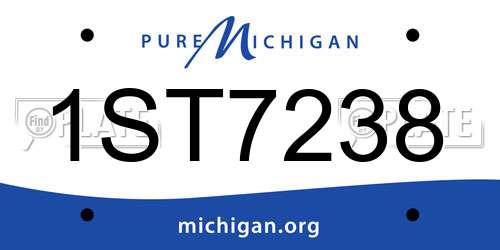 1ST7238 Michigan License Plate