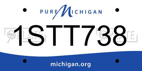 1STT738 Michigan License Plate