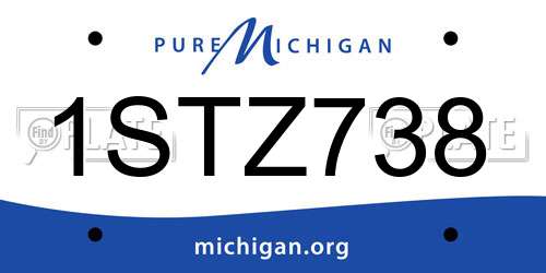 1STZ738 Michigan License Plate