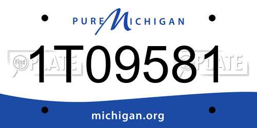 1T09581 Michigan License Plate