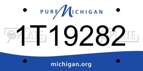 1T19282 Michigan License Plate