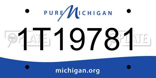 1T19781 Michigan License Plate