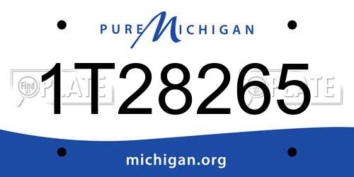 1T28265 Michigan License Plate