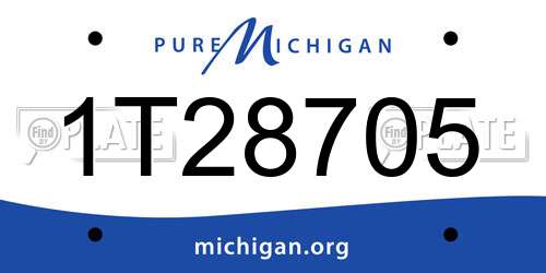 1T28705 Michigan License Plate